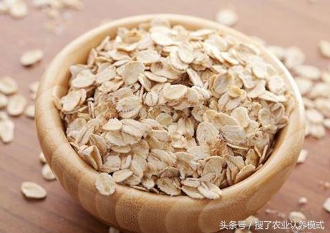 燕麥種子發(fā)芽率低怎么辦？怎么樣才能提高燕麥種子的發(fā)芽率？