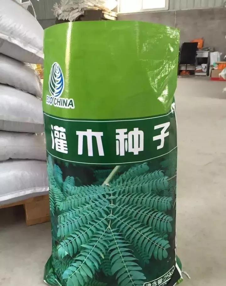 灌木種子—車(chē)桑子介紹以及播種方法