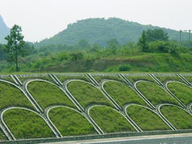生命力頑強(qiáng)、耐踐踏又美觀的狗牙根草坪